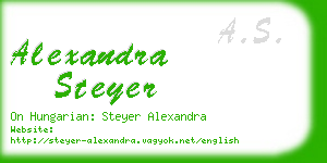 alexandra steyer business card